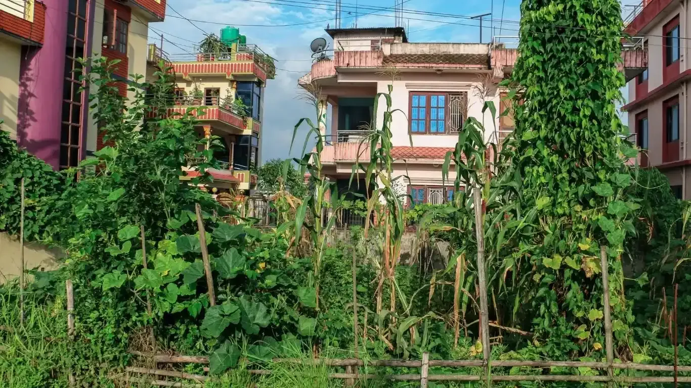Gokarneshwor land for sale, Naya Pati land Kathmandu, Bipichok residential land, 5 aana land Kathmandu, land near Jorpati Sundarijal road, Kathmandu land buy sell, residential plot Kathmandu, vastu land for sale Nepal