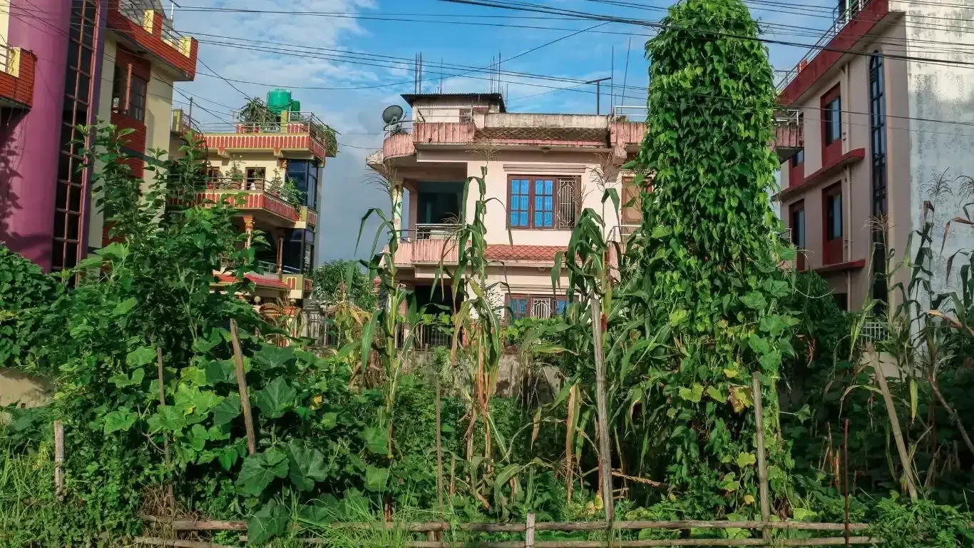 Gokarneshwor land for sale, Naya Pati land Kathmandu, Bipichok residential land, 5 aana land Kathmandu, land near Jorpati Sundarijal road, Kathmandu land buy sell, residential plot Kathmandu, vastu land for sale Nepal