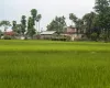 Harchana Chowk land for sale
Birtamod plots Jhapa
Commercial land Birtamod
Institutional land Jhapa
30 ft road land Birtamod
Land near Birtamod Bazaar
Buy land Jhapa Nepal
Land for school/college Birtamod
Large land parcel Birtamod