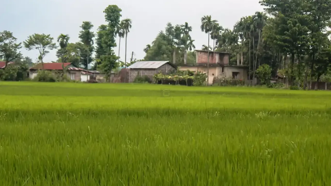 Harchana Chowk land for sale
Birtamod plots Jhapa
Commercial land Birtamod
Institutional land Jhapa
30 ft road land Birtamod
Land near Birtamod Bazaar
Buy land Jhapa Nepal
Land for school/college Birtamod
Large land parcel Birtamod