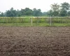 Harchana Chowk land for sale
Birtamod plots Jhapa
Commercial land Birtamod
Institutional land Jhapa
30 ft road land Birtamod
Land near Birtamod Bazaar
Buy land Jhapa Nepal
Land for school/college Birtamod
Large land parcel Birtamod