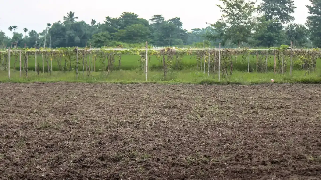 Harchana Chowk land for sale
Birtamod plots Jhapa
Commercial land Birtamod
Institutional land Jhapa
30 ft road land Birtamod
Land near Birtamod Bazaar
Buy land Jhapa Nepal
Land for school/college Birtamod
Large land parcel Birtamod