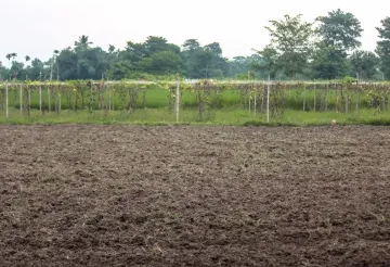 Harchana Chowk land for sale
Birtamod plots Jhapa
Commercial land Birtamod
Institutional land Jhapa
30 ft road land Birtamod
Land near Birtamod Bazaar
Buy land Jhapa Nepal
Land for school/college Birtamod
Large land parcel Birtamod