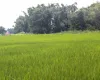 Harchana Chowk land for sale
Birtamod plots Jhapa
Commercial land Birtamod
Institutional land Jhapa
30 ft road land Birtamod
Land near Birtamod Bazaar
Buy land Jhapa Nepal
Land for school/college Birtamod
Large land parcel Birtamod