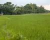 Harchana Chowk land for sale
Birtamod plots Jhapa
Commercial land Birtamod
Institutional land Jhapa
30 ft road land Birtamod
Land near Birtamod Bazaar
Buy land Jhapa Nepal
Land for school/college Birtamod
Large land parcel Birtamod