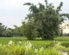 Harchana Chowk land for sale
Birtamod plots Jhapa
Commercial land Birtamod
Institutional land Jhapa
30 ft road land Birtamod
Land near Birtamod Bazaar
Buy land Jhapa Nepal
Land for school/college Birtamod
Large land parcel Birtamod