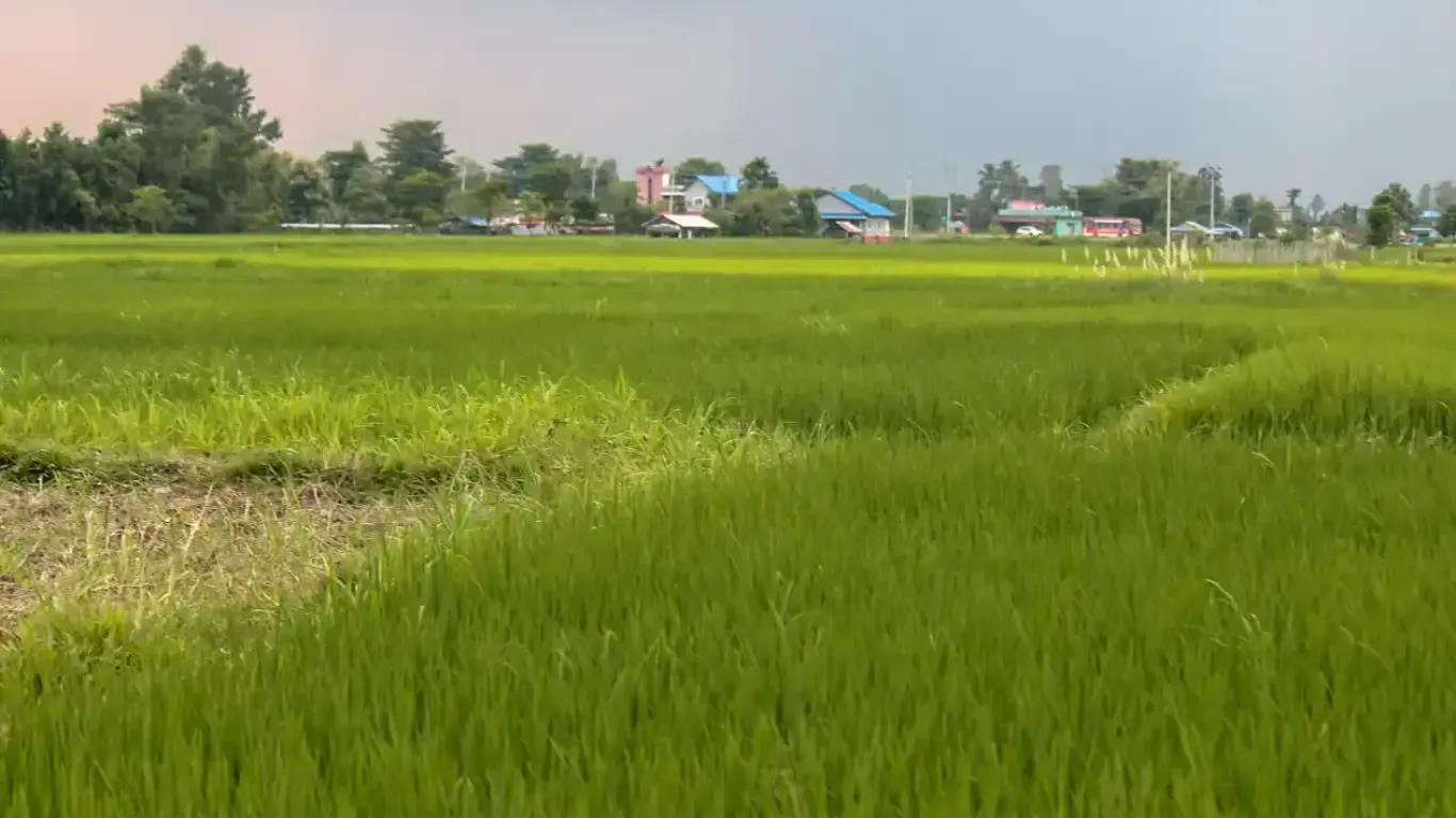 Harchana Chowk land for sale
Birtamod plots Jhapa
Commercial land Birtamod
Institutional land Jhapa
30 ft road land Birtamod
Land near Birtamod Bazaar
Buy land Jhapa Nepal
Land for school/college Birtamod
Large land parcel Birtamod